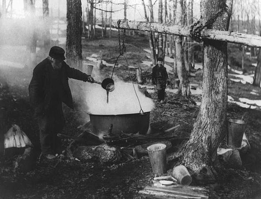 Unlock the Sweetness: Discover the Delights of Ontario Maple Syrup